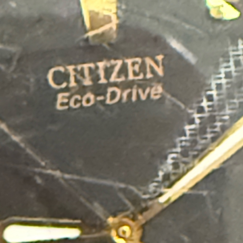 Citizen Eco-Drive Gold and Black Watch